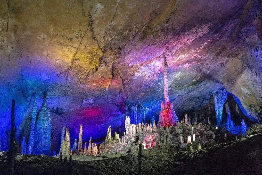 重生之玫瑰豪门